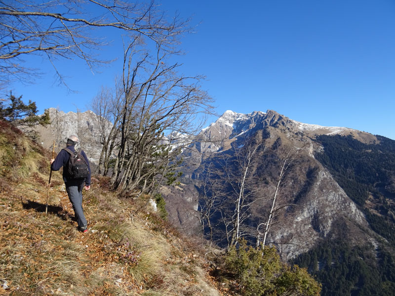 Ursus arctos.....le tracce e le orme